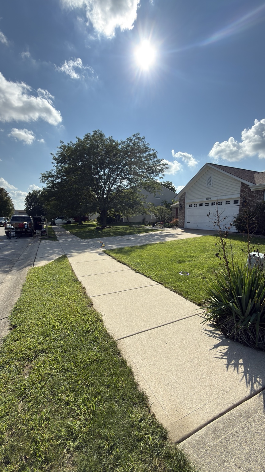 Front walkway and driveway after cleaning
