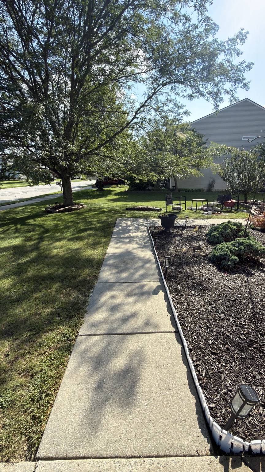 Front walkway after concrete cleaning