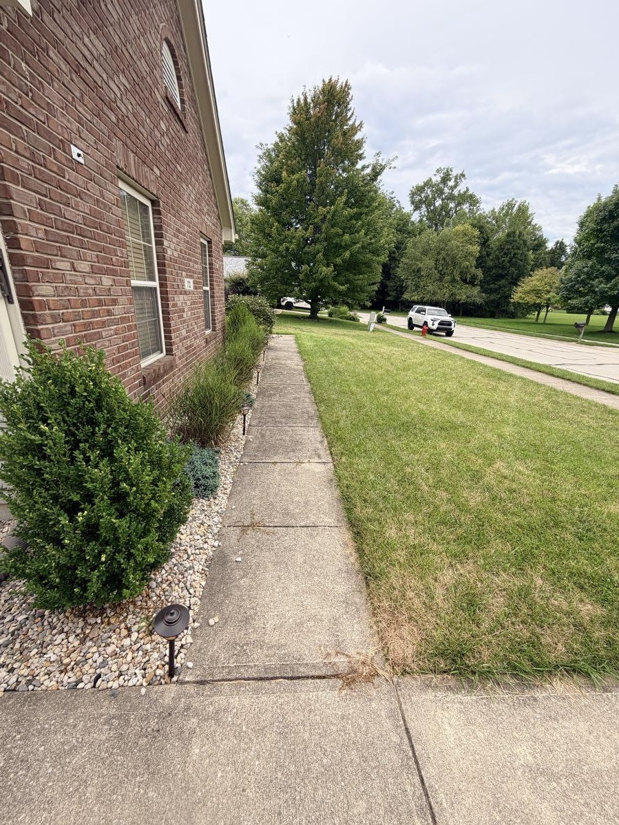 Side walkway along brick house before pressure washing