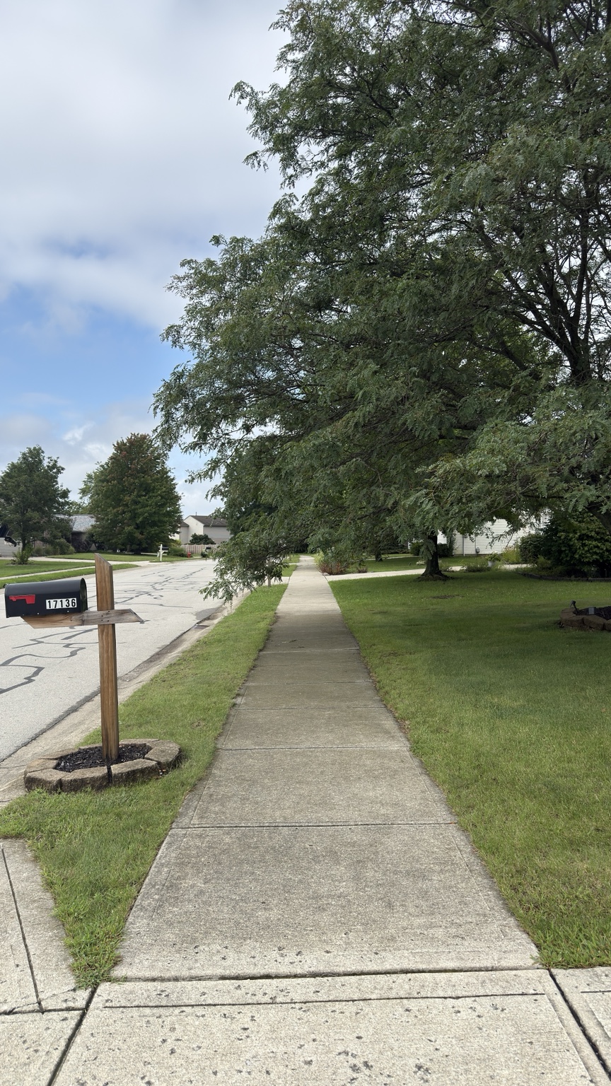 Sidewalk before cleaning