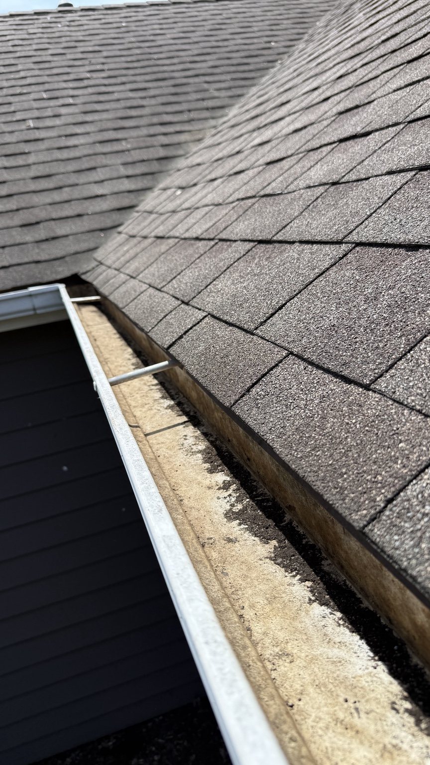 Gutter with debris before cleaning