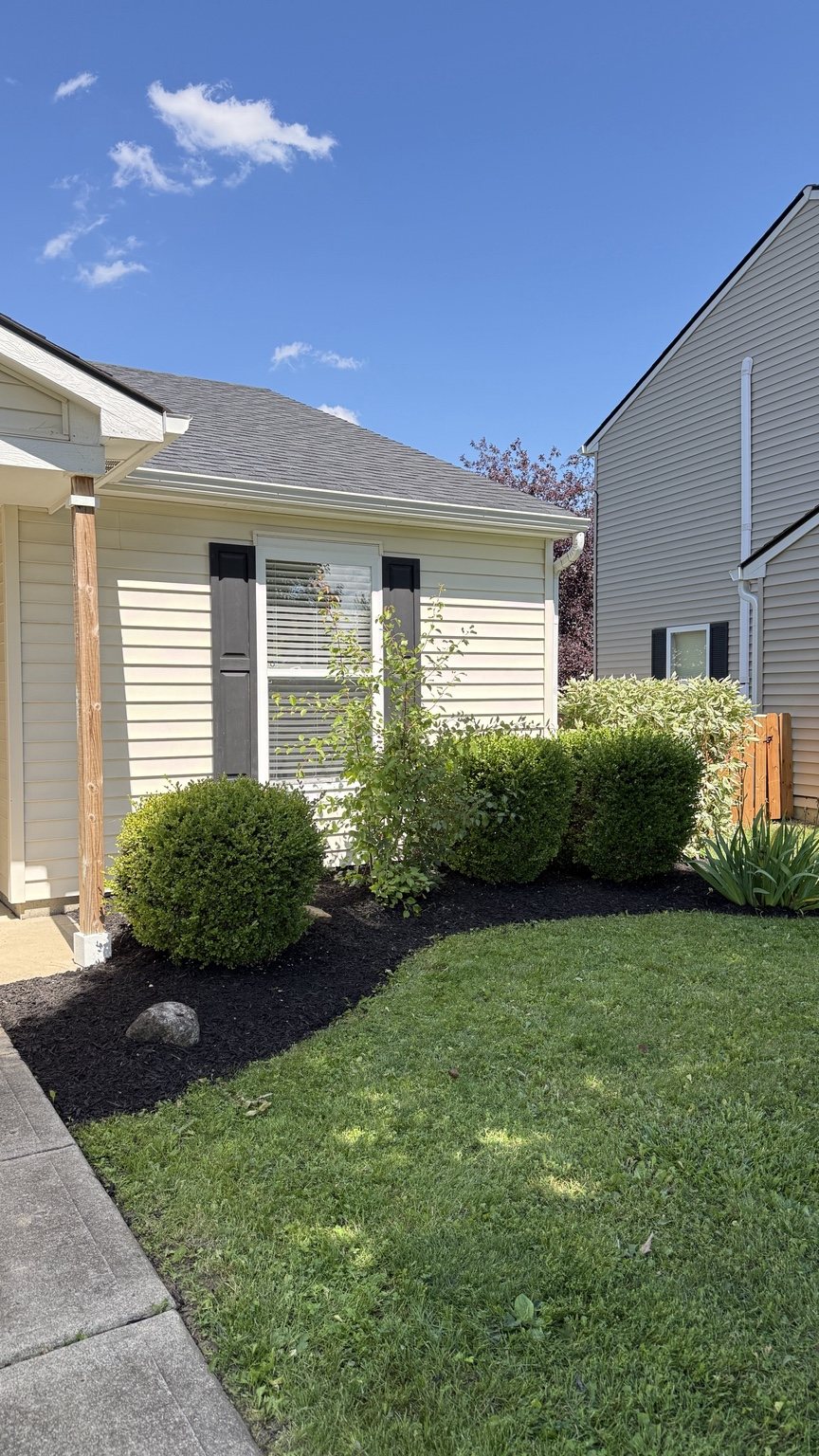 Mulch and shrub job